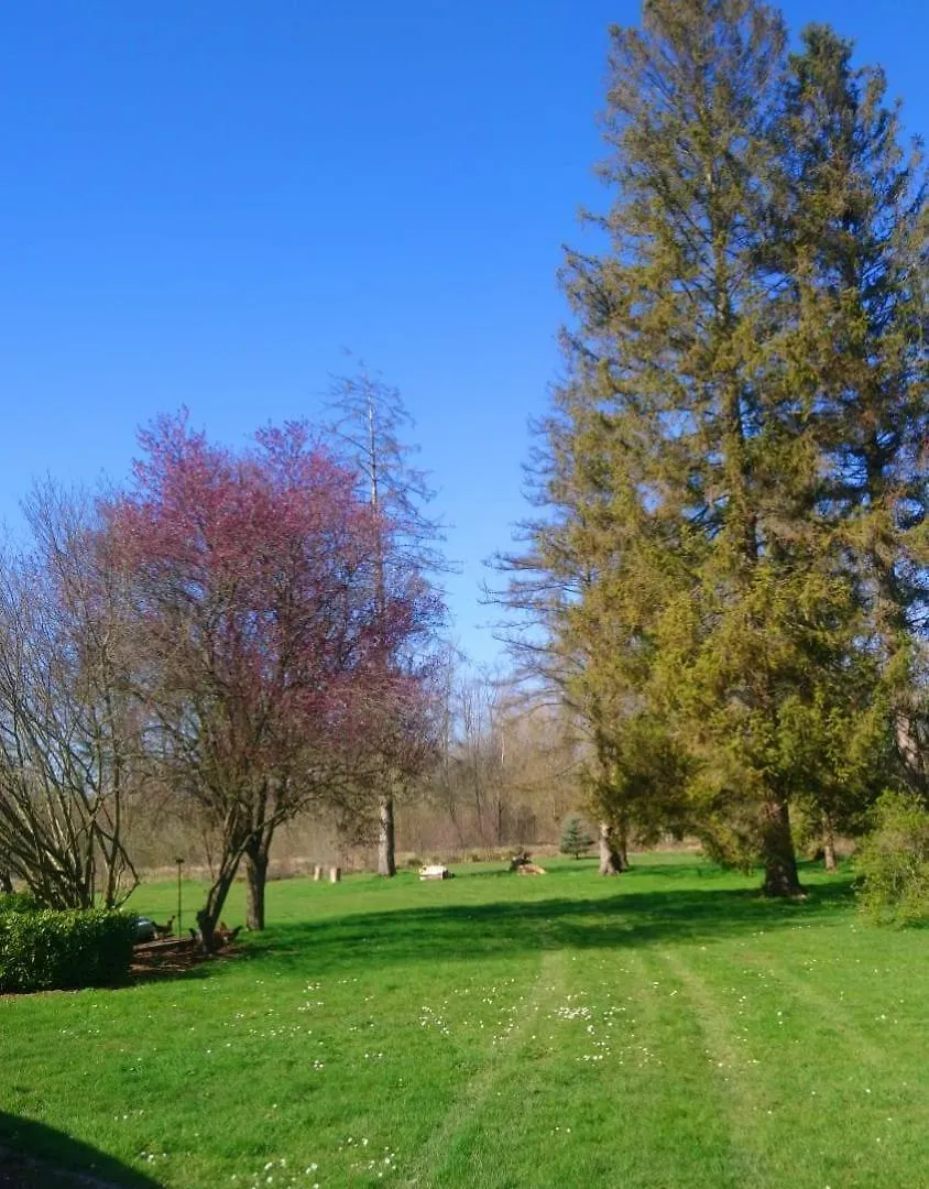 Holiday home Maison Des Marais Dommartin